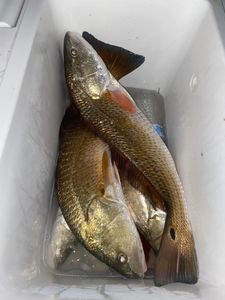 Angler fishing on Arroyo City Boulevard