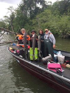 4 people fishing on the banks of the Chehalis River