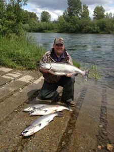 Two rainbow trout caught on a fishing trip in WA