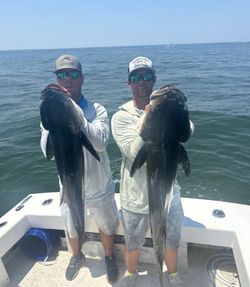 Two hardhead sea catfish caught during a fishing trip in Norfolk