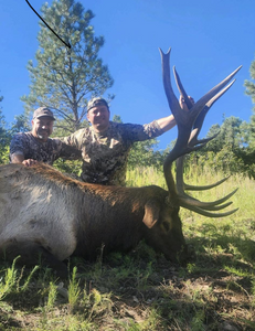 Two people hunting in Mayhill