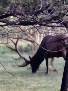 Great hunting expedition at Mayhill