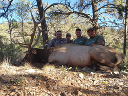A group of 4 people hunting for a single large fish in New Mexico