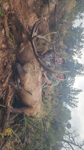 Adventurous hunting in NM