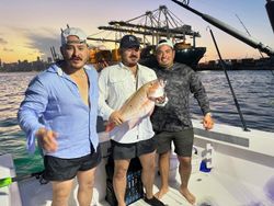 Three anglers enjoying a fishing tour in Key Biscayne