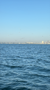 Perfect fishing conditions with partly cloudy skies and calm blue waters.