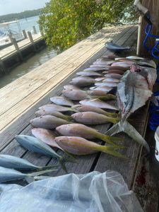 Three fishing in Florida