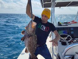 Gag Grouper caught during a fishing tour in Key Biscayne