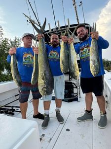 5 King Mackerel fish caught during Key Biscayne fishing tour