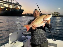 Mutton Snapper caught while fishing in Florida
