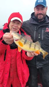 Trophy Yellow Perch! 🎣🔥