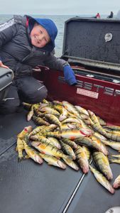 Perch Haul of the Day! 🎣🔥