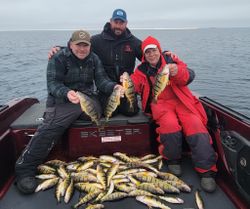 Four fish caught in MI