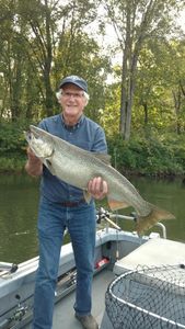 Chinook salmon caught in MI