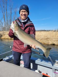 Chum salmon caught in Manistee
