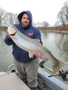 Coho Salmon caught fishing in MI
