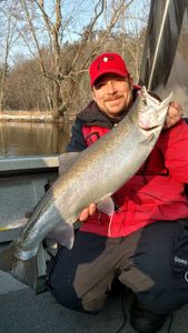 Coho salmon, 23 inches, caught while fishing in MI
