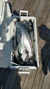 A fishing trip in MI