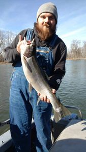 Angler with a 21-inch catch in Manistee