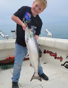 Stunning rainbow trout caught in MI