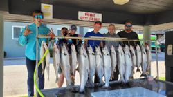 Nine Chinook Salmon and Little Tunny fish caught in MI