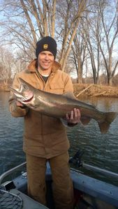Photograph of a pink salmon, a 29-inch freshwater fish, caught while fishing in Manistee, Michigan.