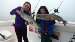 Two pink salmon, 24 inches long, caught in Manistee