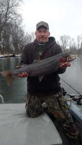 Angler holding a large rainbow trout caught in MI
