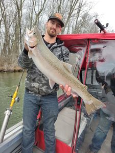 A fisherman proudly holds a large rainbow trout in MI