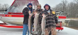 Three rainbow trout caught during a fishing trip in MI