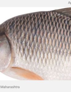 Exciting outdoor adventure in ON