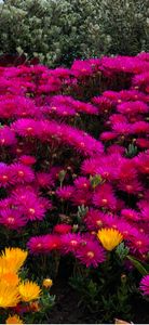 Scenic outdoor adventure in ON