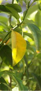 Scenic views of Ontario, Canada