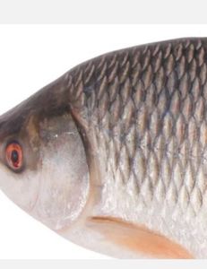 Scenic landscape in ON