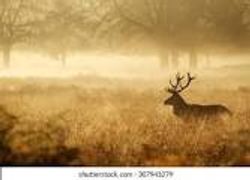 Breathtaking vista of Toronto skyline