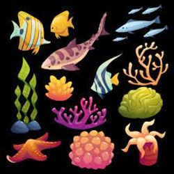 7 fish in the waters of Toronto