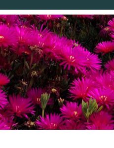 Scenic view of Toronto skyline