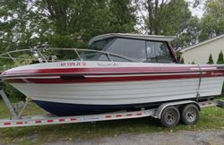 New York waters brimming with adventure