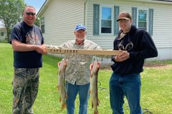 Two Northern Pike fish caught in NY while fishing