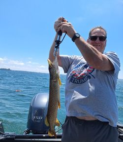 A huge northern pike caught by a fisherman in Cape Vincent