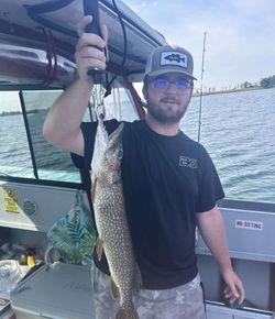 Catch of the day! Impressive Northern Pike measuring 20 inches, reeled in at Cape Vincent.