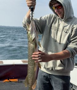 Northern Pike caught by two people fishing in Cape Vincent