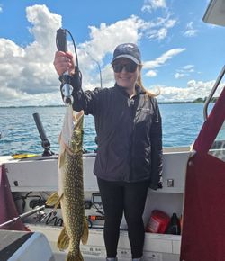 Northern Pike fish caught in Cape Vincent