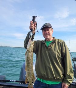 Northern Pike fish caught in NY