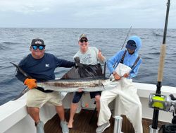 Angler catching an Atlantic Sailfish in Palm Beach Shores