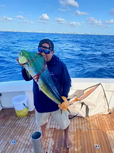 One person fishing in Palm Beach Shores