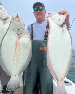 An angler holds two European flounder, measuring 34 inches, in MA