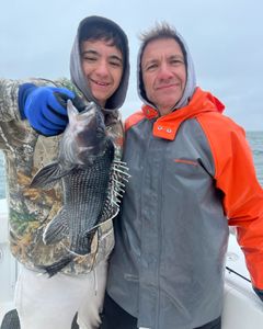 A fisherman holds a sea bass in MA.