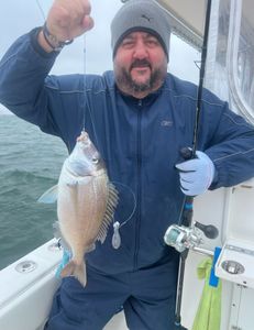 Scup fish caught by two people in Yarmouth