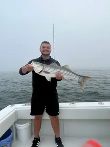 Striped bass caught while fishing in MA